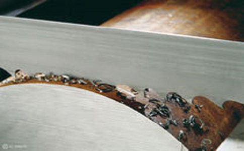 泉州带锯床线速度设定过高，为什么会导致带锯条齿尖发热加速锯条的磨损？